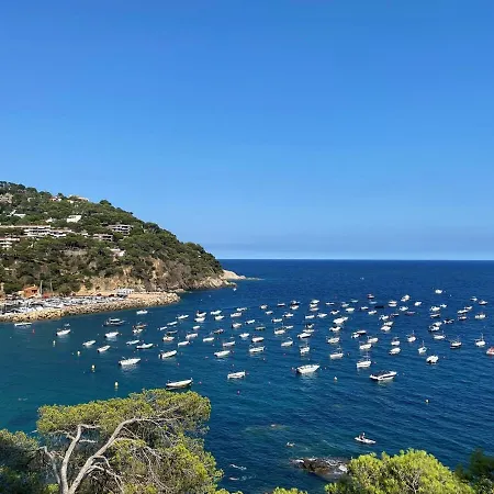 Bright And * Palafrugell