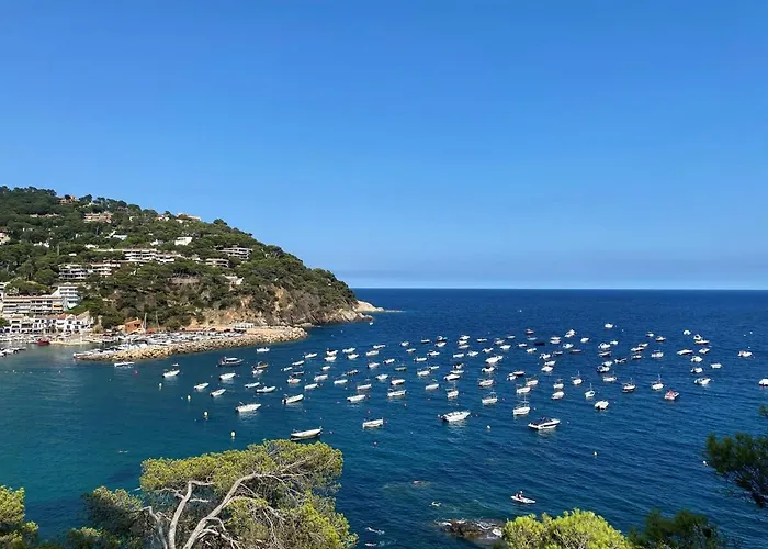 Bright And * Palafrugell